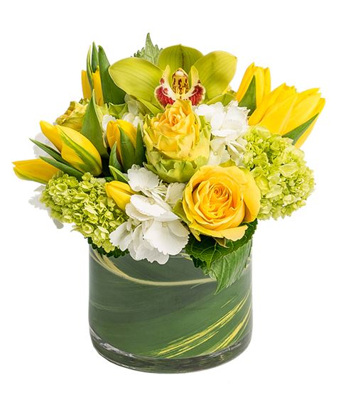 Composizione Su Cilindro Giallo Bianco